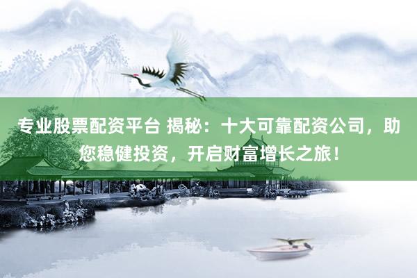 专业股票配资平台 揭秘：十大可靠配资公司，助您稳健投资，开启财富增长之旅！
