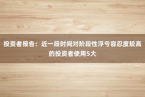 投资者报告：近一段时间对阶段性浮亏容忍度较高的投资者使用5大